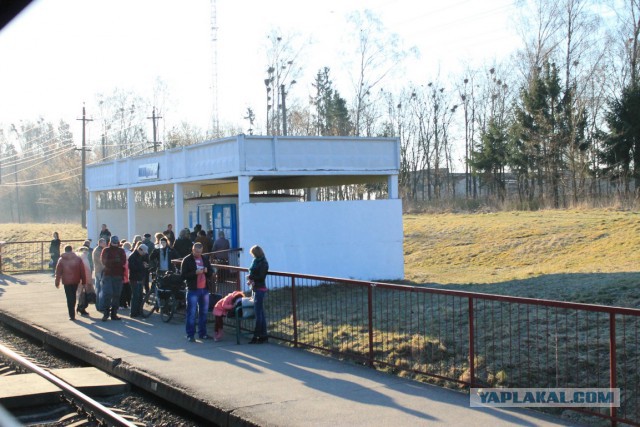 Беларусь из окна электрички