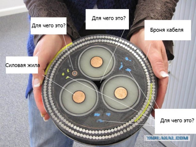 Так выглядит подводный высоковольтный кабель