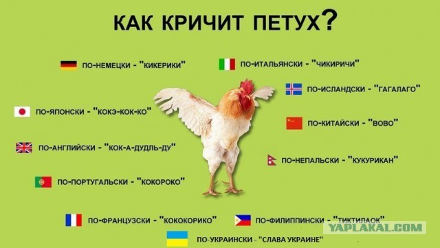 Власти Пиндостана довольны