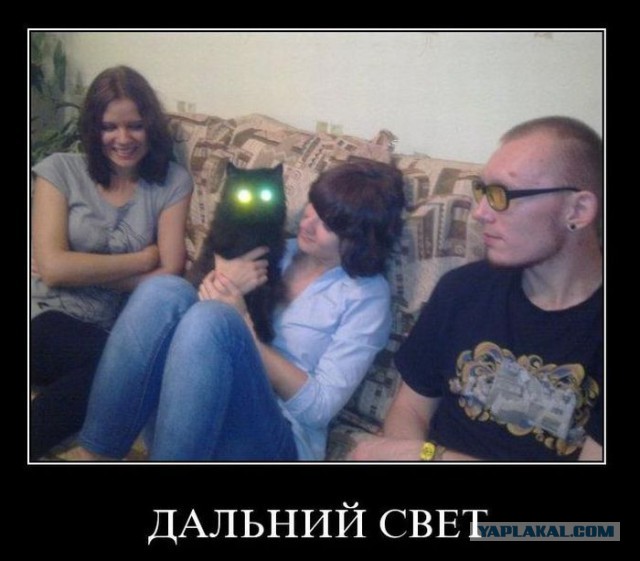 Подборка смешных картинок :)
