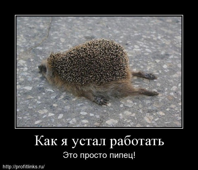Чёрт, чёрт, чёрт!