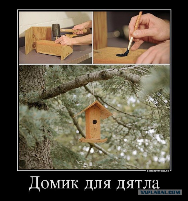 А вот и новые картинки!