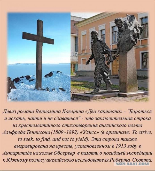 20 фактов обо всем