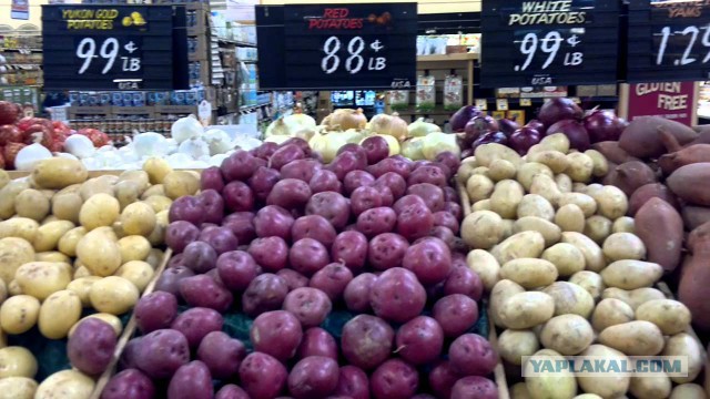 Первое впечатление от США