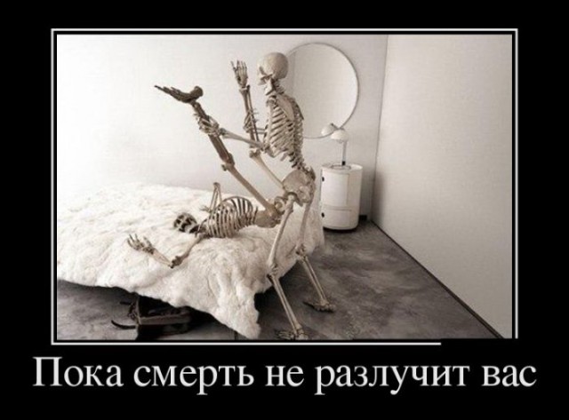 Демотиваторы