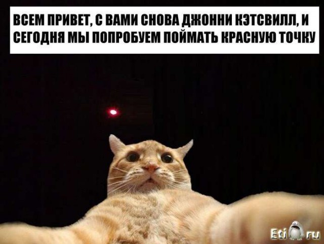 Мемы вспоминаем и добавляем....