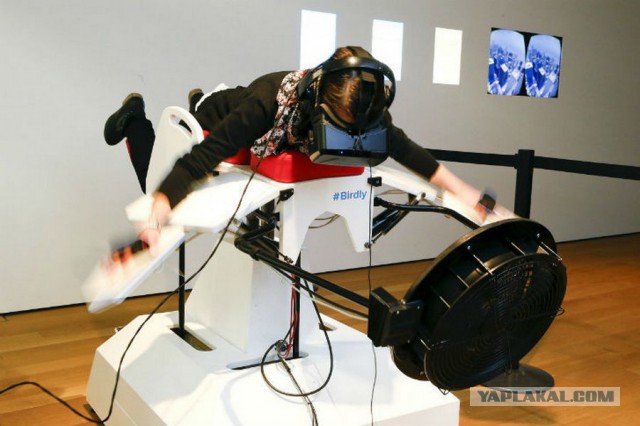 Самые чудные и курьёзные фотографии 2015 года