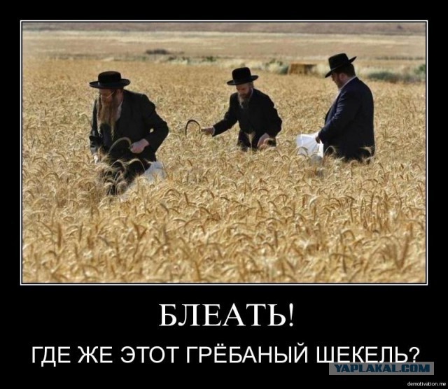 Еврей внутри меня