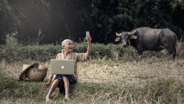 Красивые фото