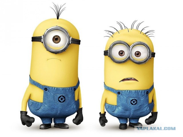 Везут же люди!