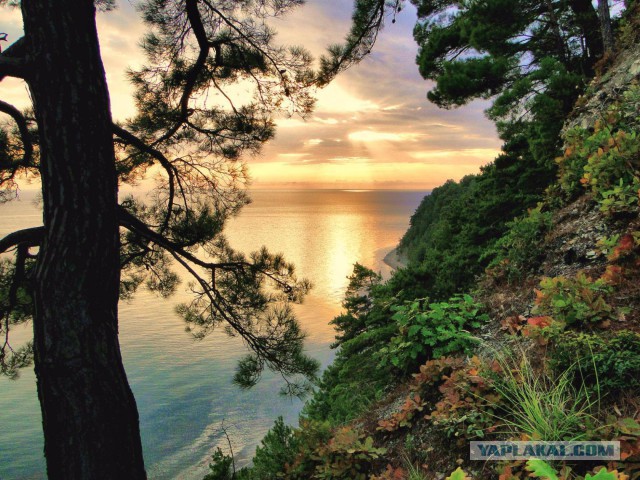 Живу у моря