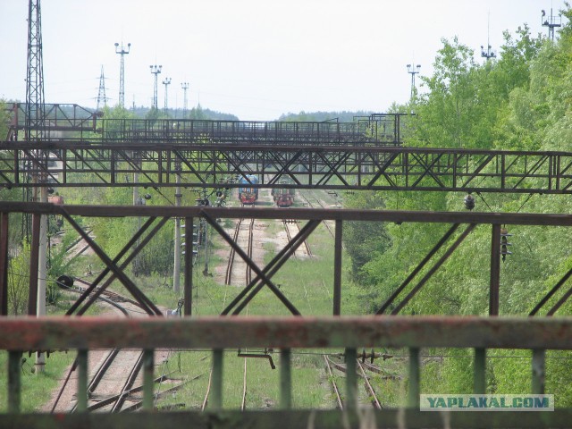 Черная быль
