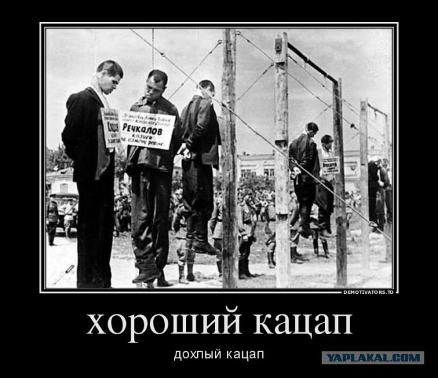 Фото войны всех времен и народов