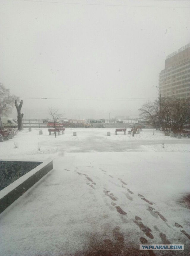 Санкт-Петербург. Апрель