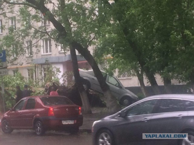 В Москве ураган!
