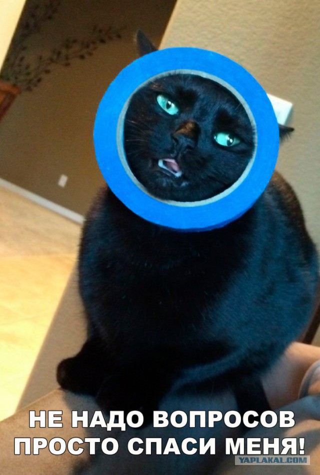 Картинки всякие для поднятия настроения