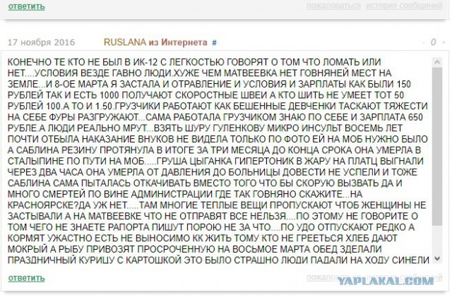 Суд выносит приговор хабаровским живодеркам