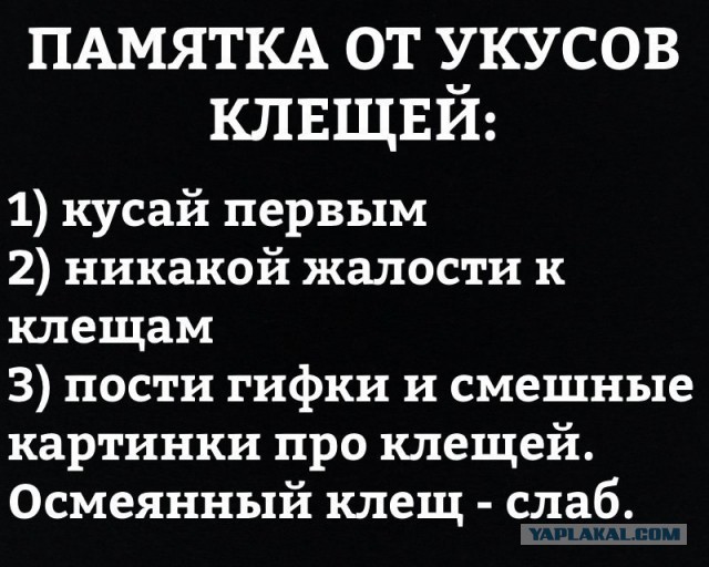 Как, уничтожая клещей, их размножают?