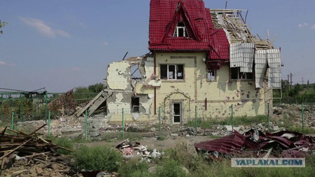 В ДНР погиб Олег "Мамай" Мамиев