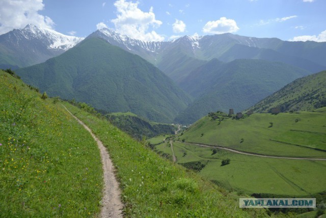 Кулинары поздравляют ЯП с днём рождения!