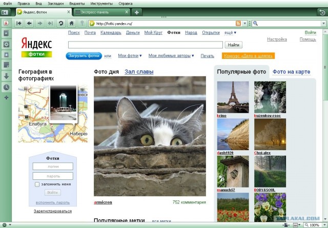 Котовторник объявляется открытым!