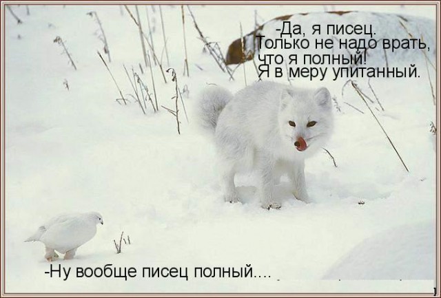 Я вот задумался...