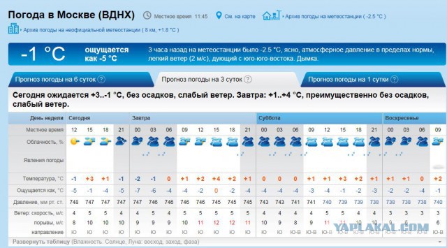 Количество сексуальных партнёров и как это влияет на отношения у людей после 35+