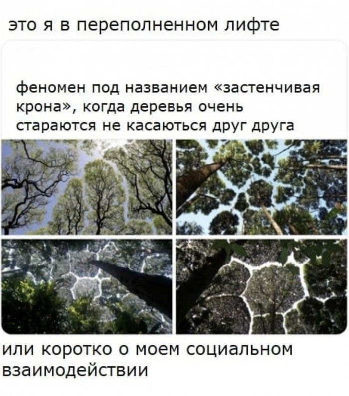 Картинки с надписями, истории и анекдоты