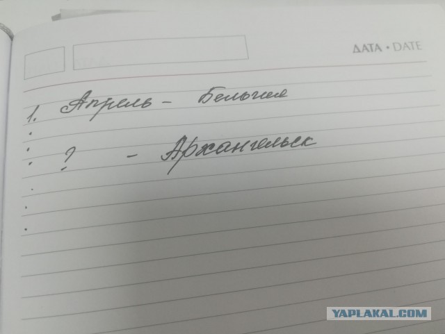 Мужчины умнеют. Женщины негодуют