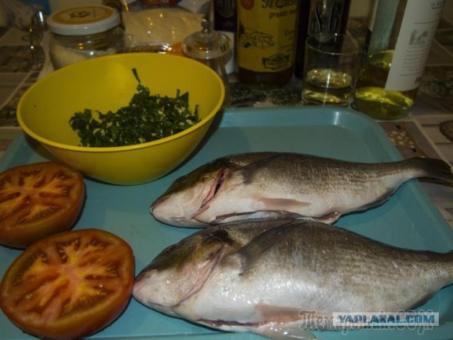 Рыба.