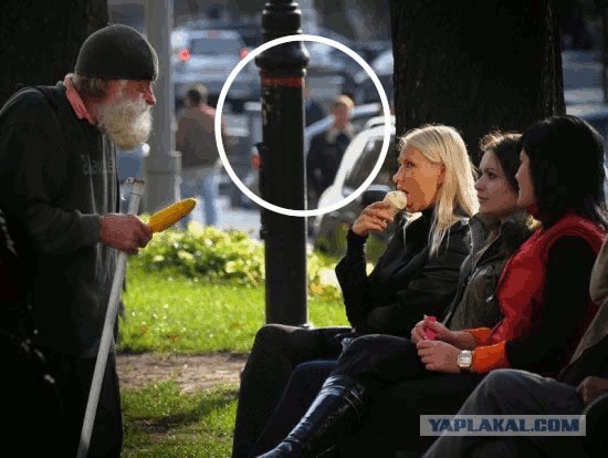 Фотожаба: Дамский угодник