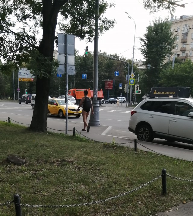Вот такой красавец шастает по центру Москвы
