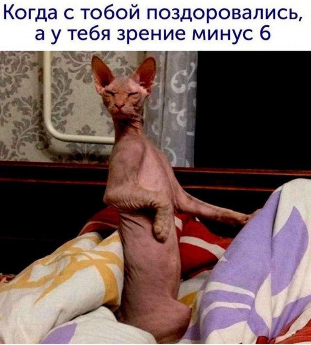 Бредзона 28.10.2020