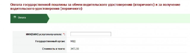 Вместо праздника — в очереди: новая справка для водителей создаст новогодний ажиотаж в медцентрах