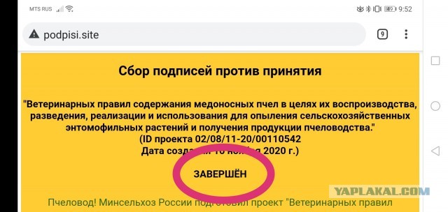 Новые безумные правила содержания пчёл