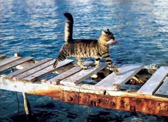 Красавчик