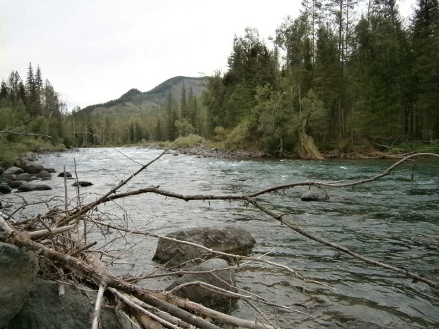 На конягах по Алтаю