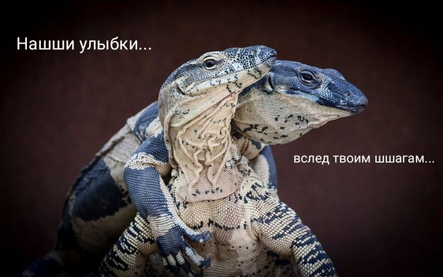 Вы спрашивали, что такое ролевые игры?