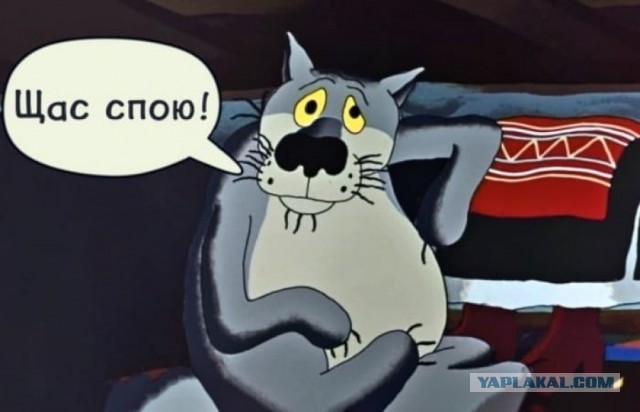 Муж надежд на красивую жизнь не оправдал