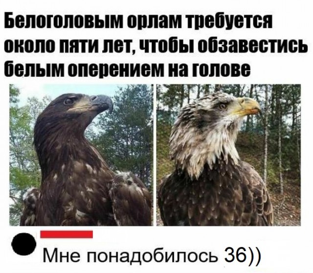 Картинки с надписями и всякие жизненные фразы