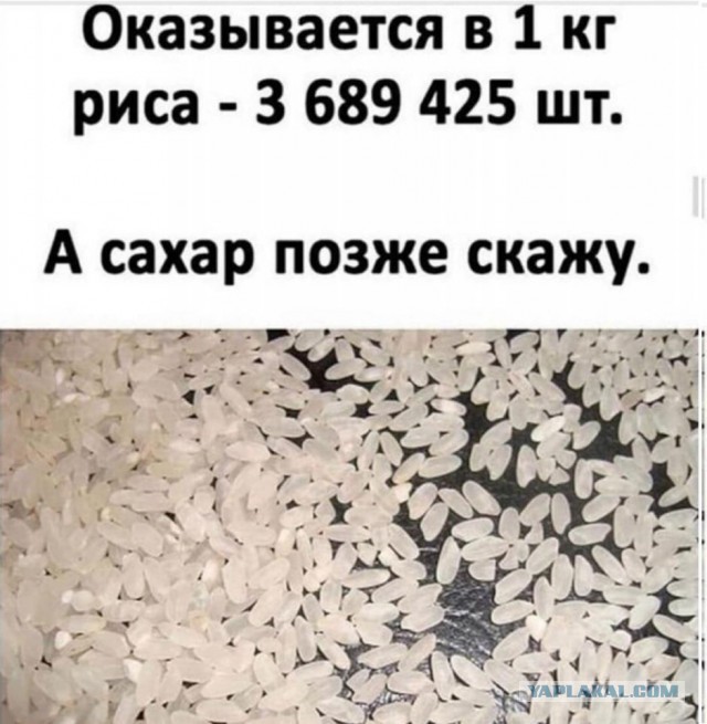 Сколько кукурузных початков в одной банке кукурузы?