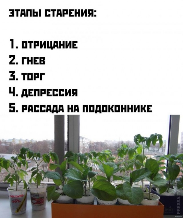 Картинки и мемы для настроения 22.03.2021