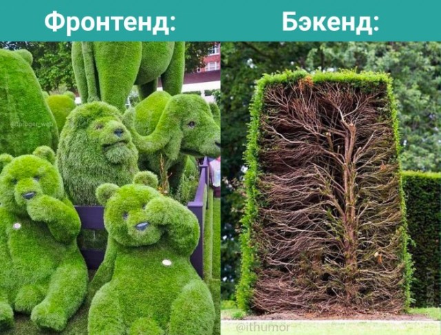 Картинки и мемы для настроения