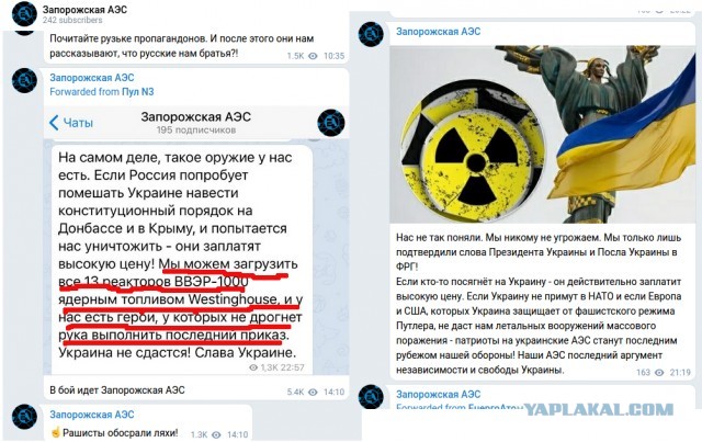 Украинский экс-замминистра: Любой эксперт вам скажет, что два эсминца ВМС США одним залпом могут уничтожить весь Черноморский фл