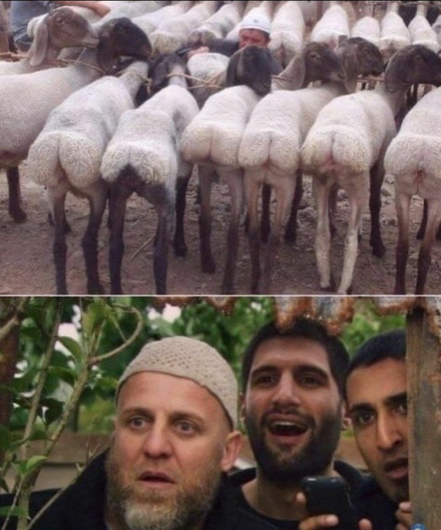 Аморальная деградация
