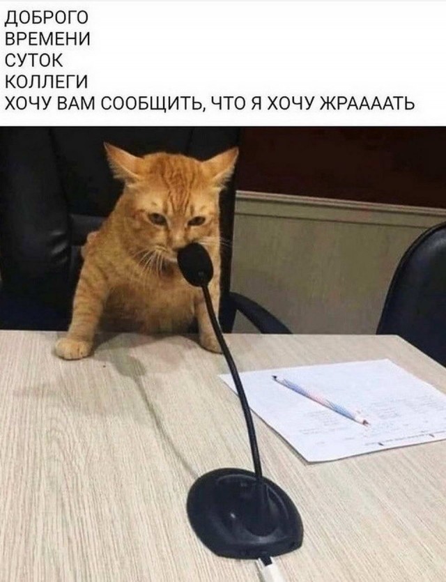 Картинки и мемы для настроения 03.08.2021