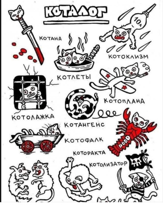 Всемирный день кошек