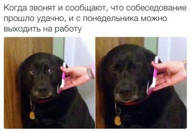 Картинки и мемы для настроения 24.08.2021