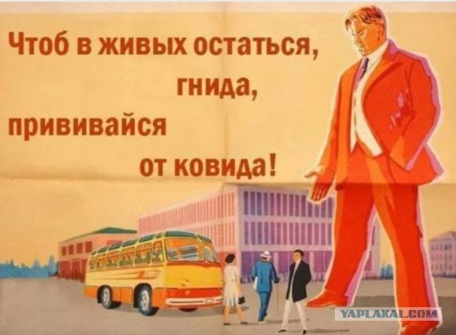 ВОЗ: ну, наконец-то. А то мы уже волновались