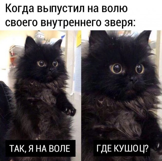 Немного картинок и прочей хреноты Vol. 7